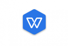 WPS Office 2019办公专业增强特别版下载-VSCode中文网