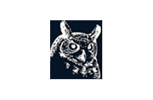 VSCode编辑器Night Owl夜猫子主题下载-VSCode中文网